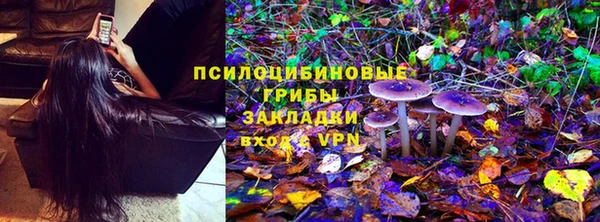 тгк Новодвинск