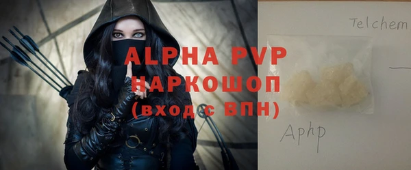 тгк Новодвинск