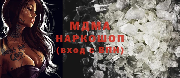 стаф Новокубанск