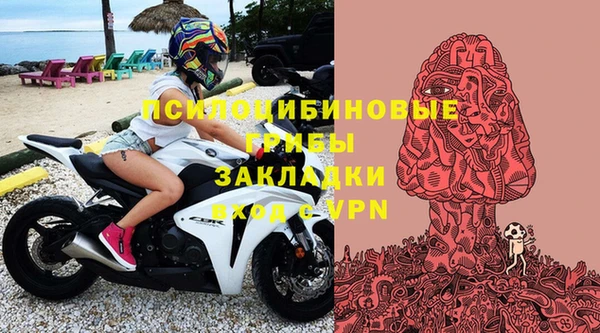 каннабис Новозыбков