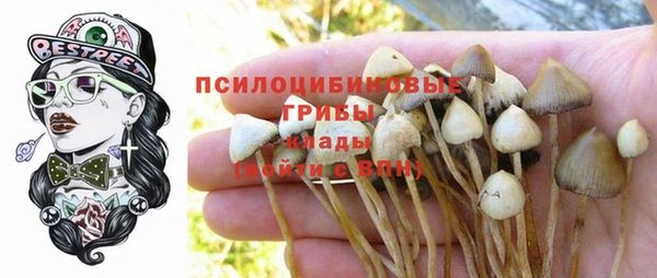 метадон Нея