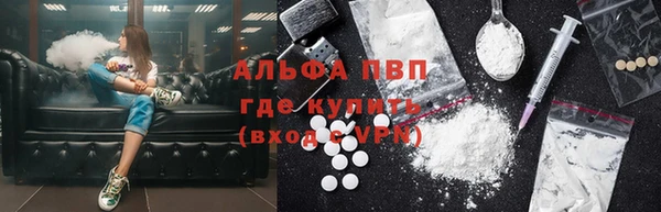 тгк Новодвинск